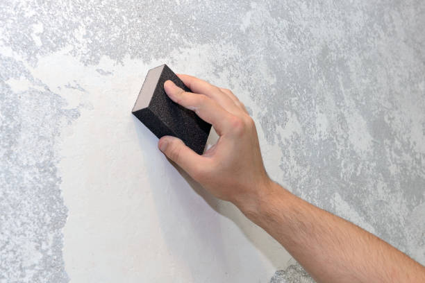 Best Mold Damage Restoration  in Los Ranchos, CA