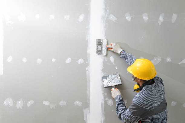  Los Ranchos, CA Mold Removal Pros